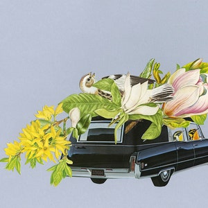 Frühlings Beerdigung. Originalcollage von Vivienne Strauss.