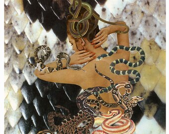 Modern Medusa.  Original collage by Vivienne Strauss.