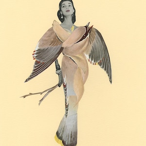 Waxwing Poetic. Limited edition collage print byVivienne Strauss.