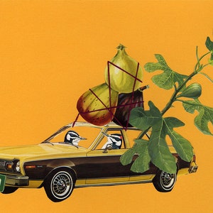 The Hairies couldn&#39;t give three figs about potatoes. Original collage by Vivienne Strauss.