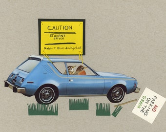 Student Driver. Limited edition print by Vivienne Strauss.