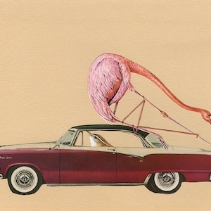 A Carolina wren with a proclivity for pink. Limited edition print by Vivienne Strauss.