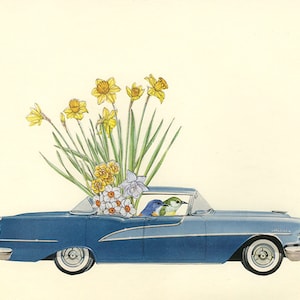 Orange-bellied flower picking peckers. Limited edition print by Vivienne Strauss.