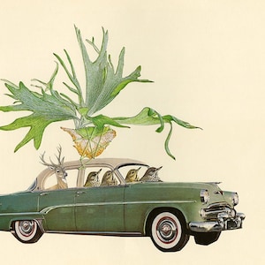 Going Stag. Limited edition print by Vivienne Strauss.