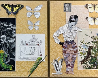 Livre de papillons. Original collage by Vivienne Strauss.