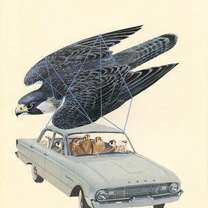Falconry. Limited edition print by Vivienne Strauss.