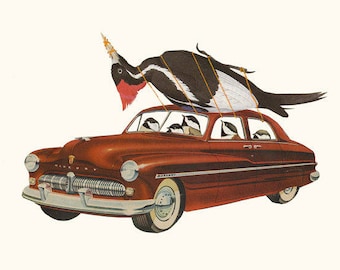 May include: A red vintage Mercury car with a black and white woodpecker perched on the roof. The car is filled with small birds, and the woodpecker is holding onto a string attached to the car.