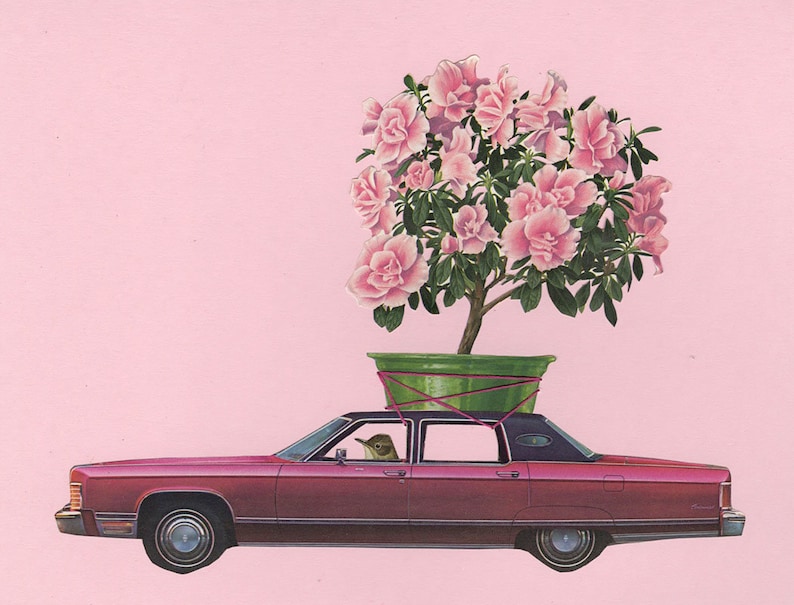 Pewee paints the town pink. Limited edition print by Vivienne Strauss. image 1