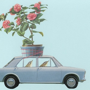May include: A light blue car with a potted pink camellia plant tied to the roof. Three small brown birds are sitting in the car's windows.