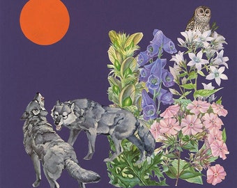 Wolfsbane. Limited edition print by Vivienne Strauss