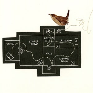 Bouwplannen van een typisch huiswinterkoninkje. Limited edition print van Vivienne Strauss.
