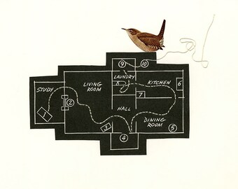 Building plans of a typical house wren. Limited edition print by Vivienne Strauss.