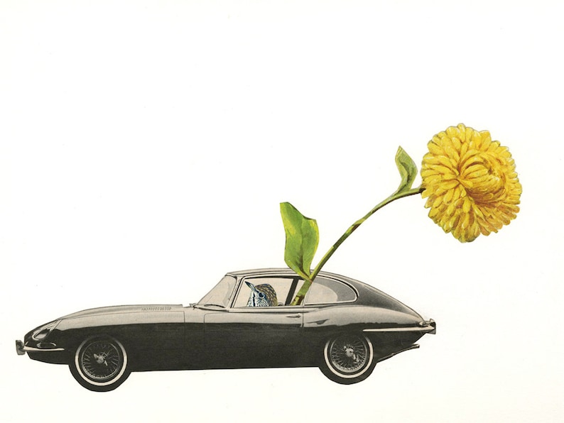 Harold, without Maude. Limited edition print by Vivienne Strauss. image 1