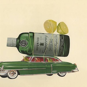 Het favoriete zomerdrankje van de tanager.  Print in beperkte oplage van Vivienne Strauss.