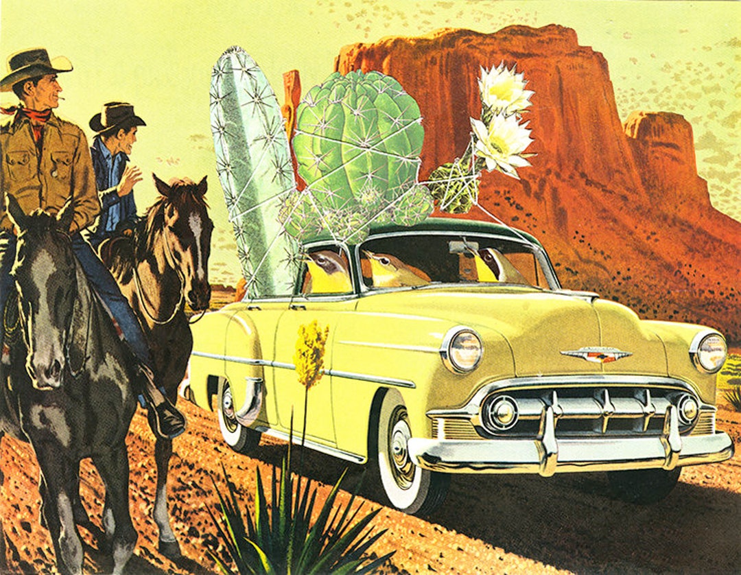 Cactus Poachers by Vivienne Strauss (8.5x11)