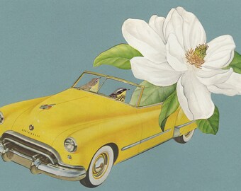 Magnolia Warblers. Original collage by Vivienne Strauss.