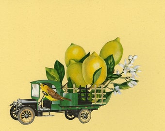 When life gives you lemons. Limited edition print by Vivienne Strauss.