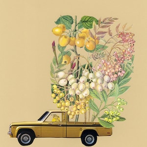 All things golden. Limited edition print by Vivienne Strauss.