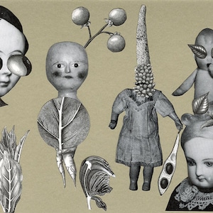 Garden Creatures.  Original collage by Vivienne Strauss.