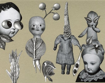 Garden Creatures.  Original collage by Vivienne Strauss.