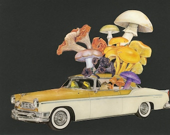 Mushroom poachers. Limited edition print byVivienne Strauss.