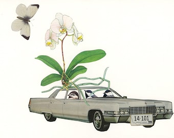 Un enterrement en voiture. Collage original de Vivienne Strauss.