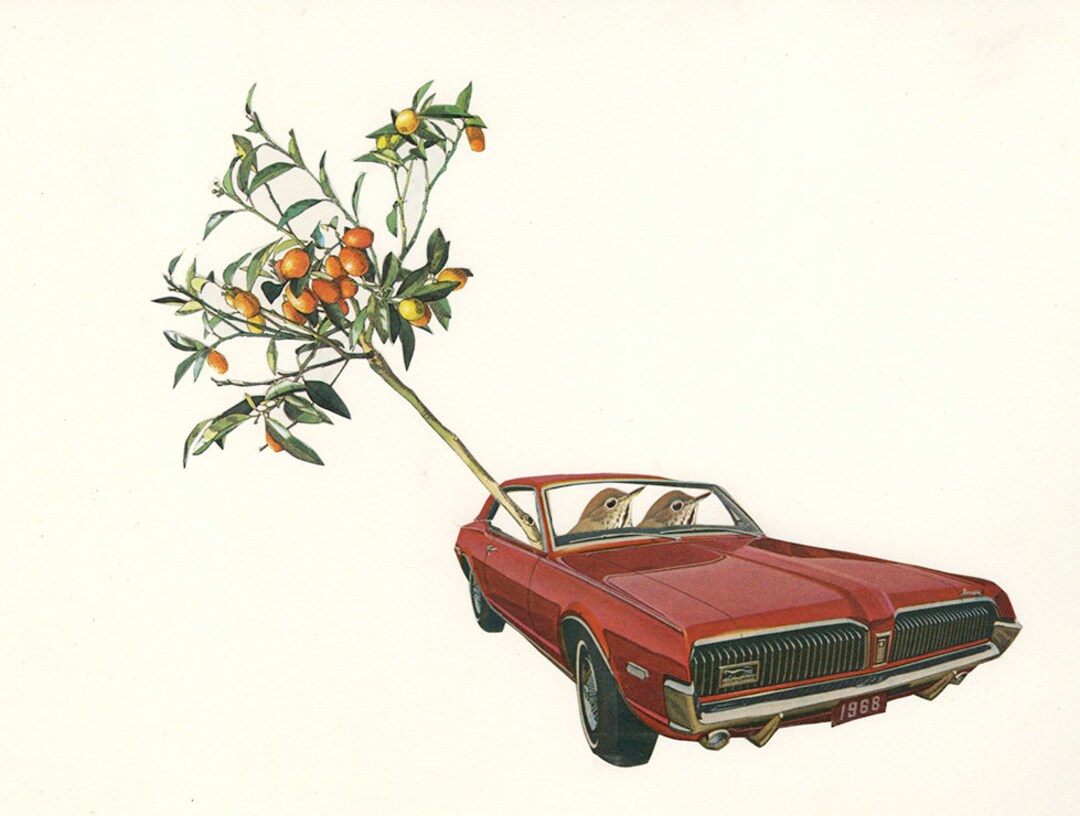 Limited Edition Print by Vivienne Strauss. - Etsy