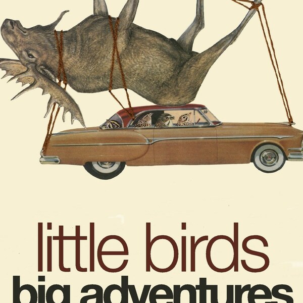 little birds, big adventures - collage art book by Vivienne Strauss