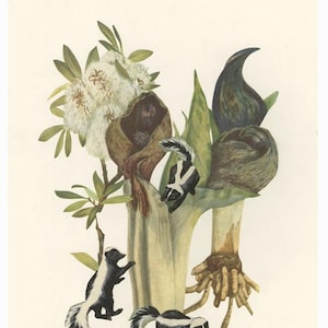 Dies sind die Hölzer, die Sie lieben. Originalcollage von Vivienne Strauss.
