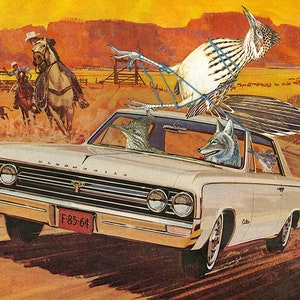 Roadrunner roundup. Limited edition print by Vivienne Strauss.
