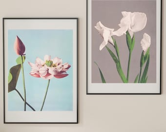 Lotus Flower Art Print - Japanese Vintage Floral Photography by Ogawa Kazumasa - Botanical Wall Decor, Zen Home Aesthetic Gift - Nature