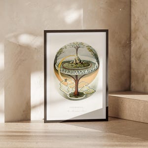 Yggdrasil Kosmos Poster - Weltenbaum Illustration - Nordische Mythologie Kunst - Finnur Magnússon Vision - Neun Reiche Symbolismus Dekor