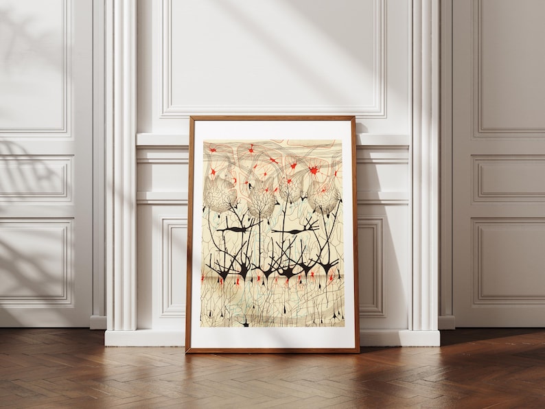 Neuron Nerve Cells Art Print - Camillo Golgi - Brain Anatomy ...