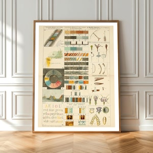 Vintage Synesthesia Art - 'Plate 4' by Francis Galton - Antique Diagram - Scientific Visualization - Senses & Color Theory - Aesthetic Chart