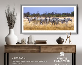 ZEBRAS from African collection