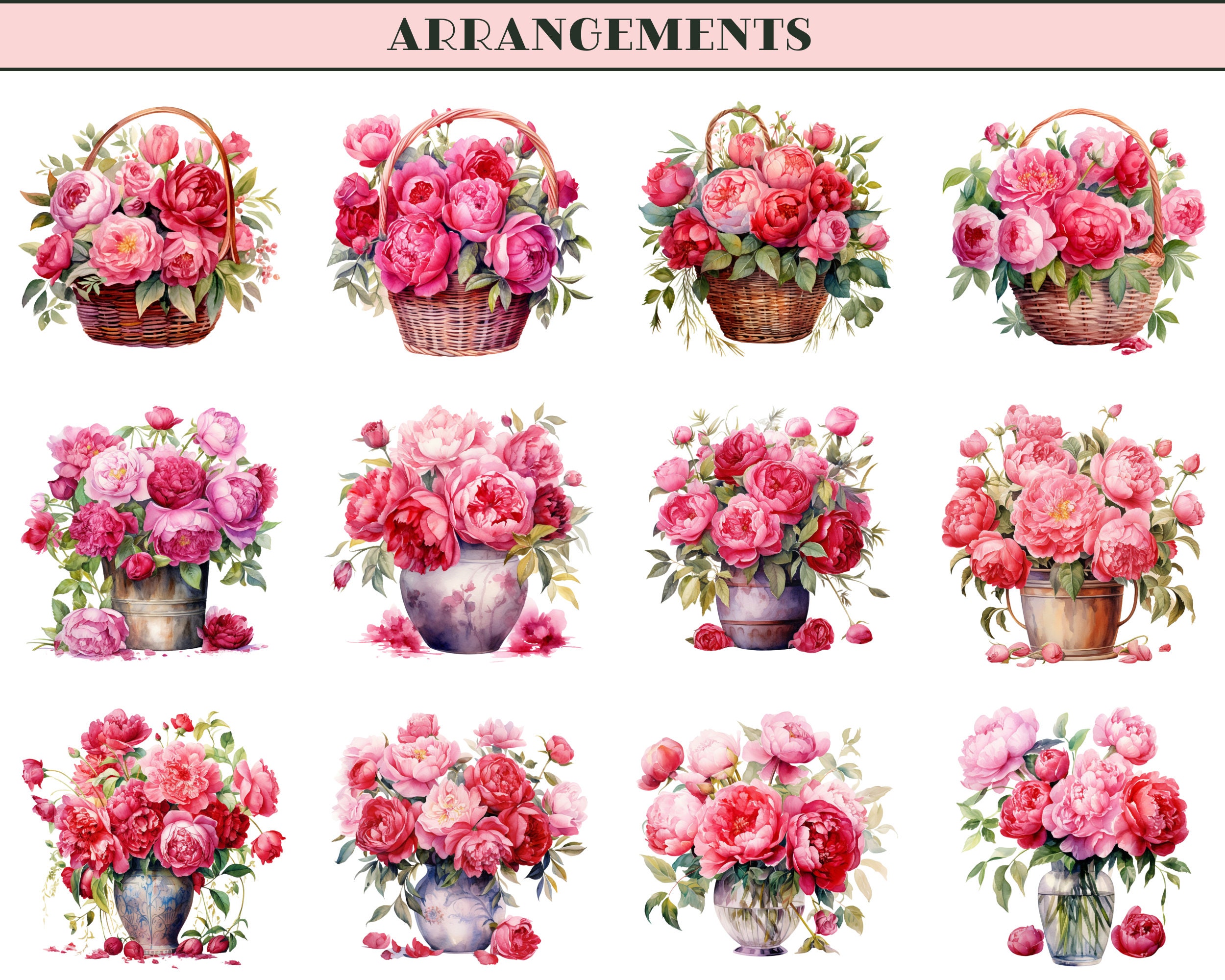 Watercolor Floral Clipart: Blush Pink Peonies & Red Roses (PNG Digital ...