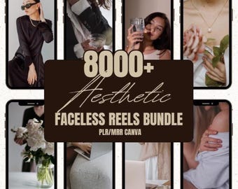 8000+ Faceless Reels Bundle | Instagram TikTok Reels | Aesthetic Faceless Digital Marketing Videos With Master Resell Rights | PLR MRR Canva
