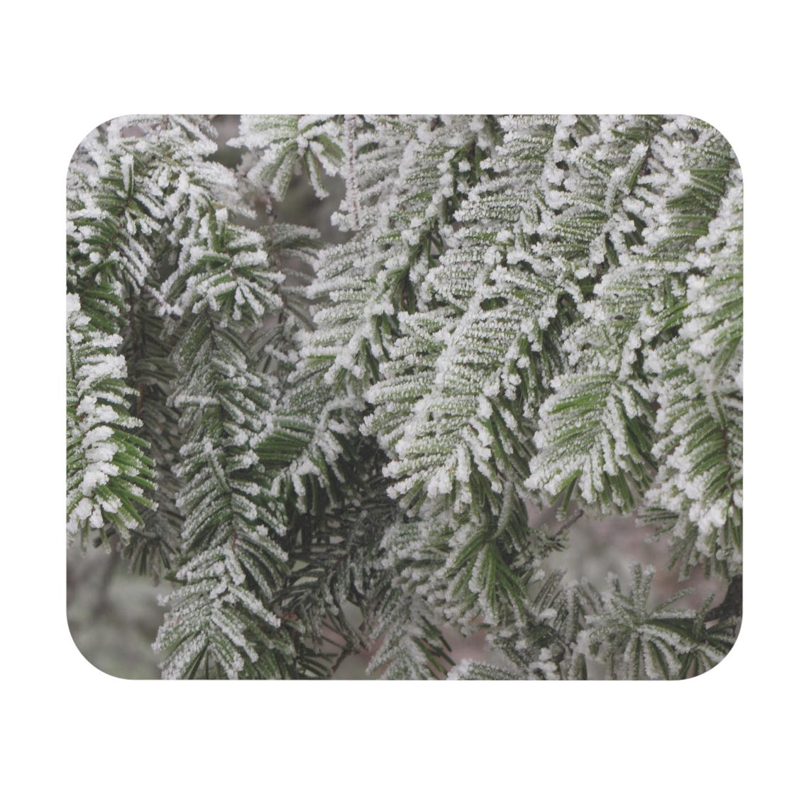 Frosted Fir Needles Mouse Pad