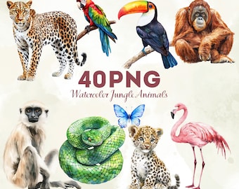 Jungle Animal Clipart 40 PNG Bundle, Watercolor Safari Wildlife Graphics for Kids Crafts, Tropical Nature Illustration Set