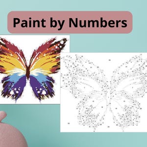 Butterfly Color by Number Printable - Instant Digital Download