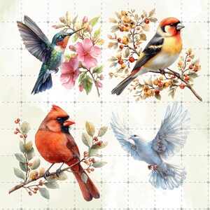 May include: Watercolor illustrations of four birds: a hummingbird with open wings near pink flowers, a goldfinch perched on a branch with berries, a red cardinal on a branch, and a dove in flight. The background is a light, grid-patterned design.