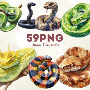 Può includere: Illustrazioni ad acquerello di vari serpenti nei toni del verde, marrone, nero, giallo e rosso. L'immagine include un serpente verde avvolto su un ramo, un serpente nero e un serpente con un motivo di squame marroni e beige. Testo: "59PNG Snake Watercolor".