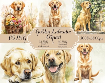 65 Złoty Labrador Clipart PNG, Akwarelowy pies, Ilustracja retrievera, Clipart dla zwierząt