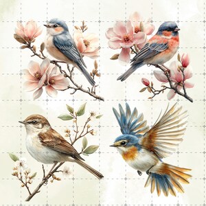 May include: Watercolor illustration of four birds perched on flowering branches. The birds feature blue, brown, and orange plumage, set against a backdrop of pink magnolia blossoms and green leaves. The artwork has a soft, artistic style.