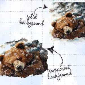 May include: Watercolor illustration of a sleeping brown bear in a snowy winter scene. The bear is nestled in snow, with evergreen branches overhead. The image is labeled with the words "solid background" and "transparent background".