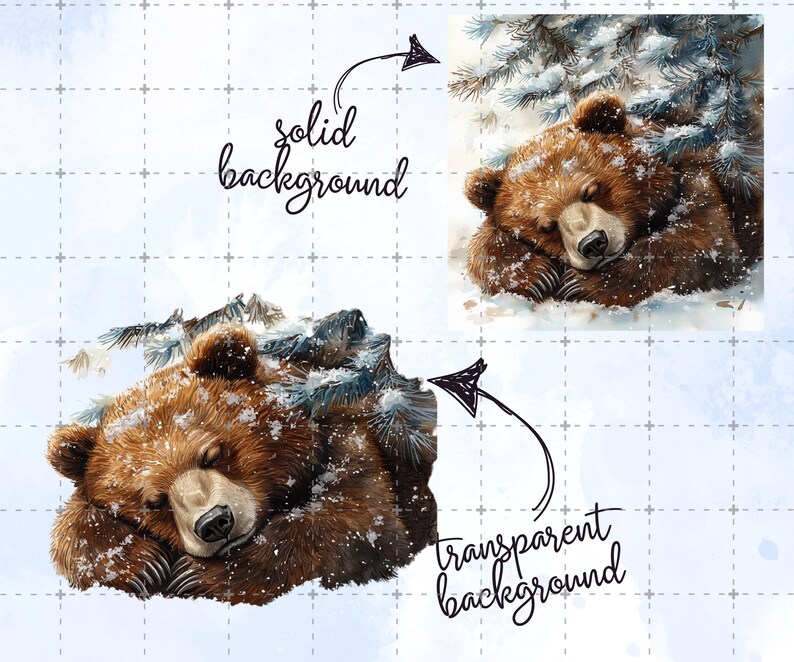 May include: Watercolor illustration of a sleeping brown bear in a snowy winter scene. The bear is nestled in snow, with evergreen branches overhead. The image is labeled with the words "solid background" and "transparent background".