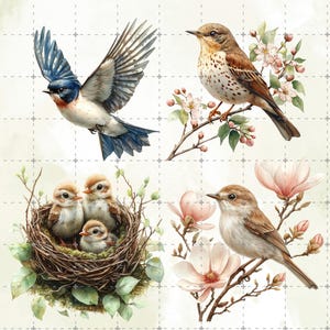 May include: Watercolor illustrations of birds. One bird is in flight with blue and white feathers. Another bird is perched on a branch with pink flowers. A nest with three baby birds is also shown.