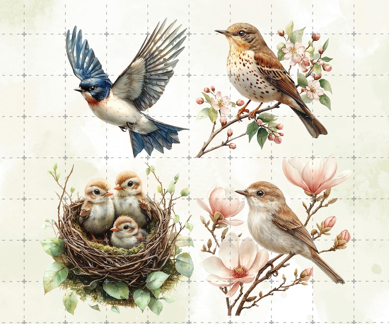 May include: Watercolor illustrations of birds. One bird is in flight with blue and white feathers. Another bird is perched on a branch with pink flowers. A nest with three baby birds is also shown.