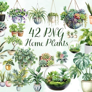 42 Home Plants Clipart – Digital Download, PNG Files with Transparent Background, Indoor Plants Potted Plants Watercolor Plant Illustrations