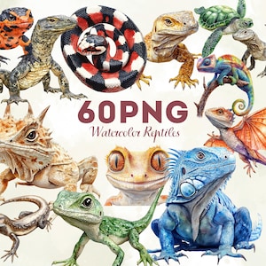 May include: A collection of watercolor reptile illustrations, including lizards, snakes, and a turtle. The image features a variety of colors and textures, with the text "60 PNG Watercolor Reptiles" in the center. The illustrations are detailed and realistic.